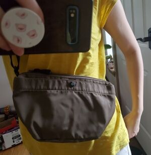 Uniqlo Brown Crossbody Bag
